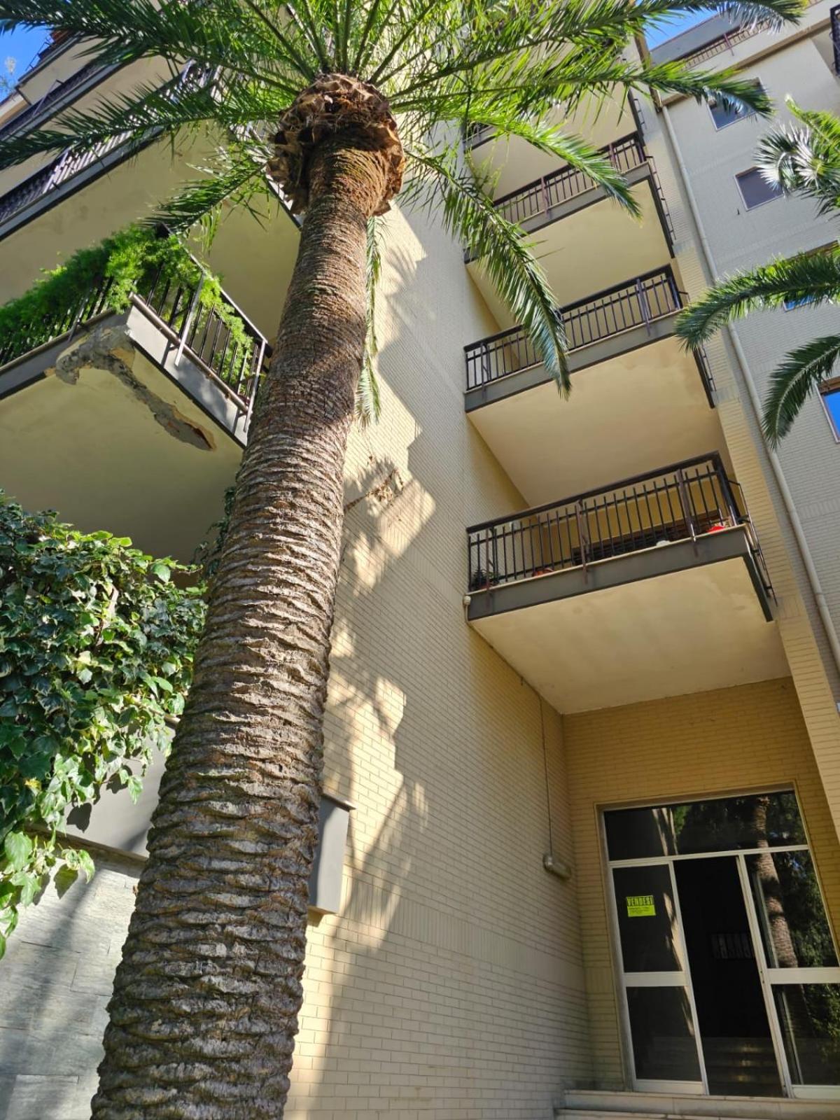 La Casa Di Telen Vicino Policlinico E Giovanni Paolo Ii Appartement *